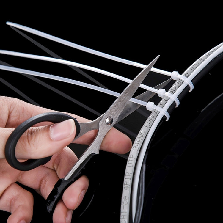 500 PCS 5mm*250mm Nylon Cable Ties(Black) - Booster Cable & Clip by PMC TechLife | Online Shopping South Africa | PMC TechLife | Buy Now Pay Later Mobicred