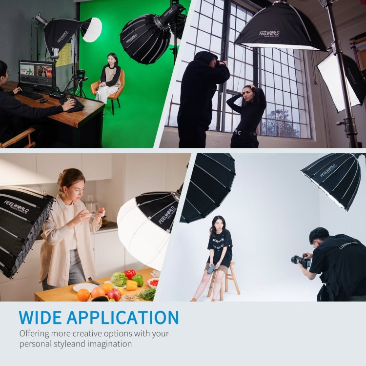 FEELWORLD FL125D 125W Daylight Point Source Video Light, Bluetooth APP Control(UK Plug) - free shipping - PMC TechLife - Order now!