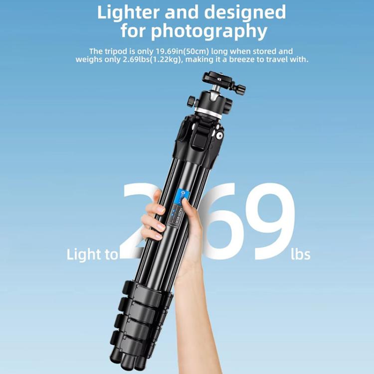 BEXIN TA254-BS30 Portable Collapsible Aluminum Alloy Camera Tripod with Head (Black) - free shipping - PMC TechLife - Order now!