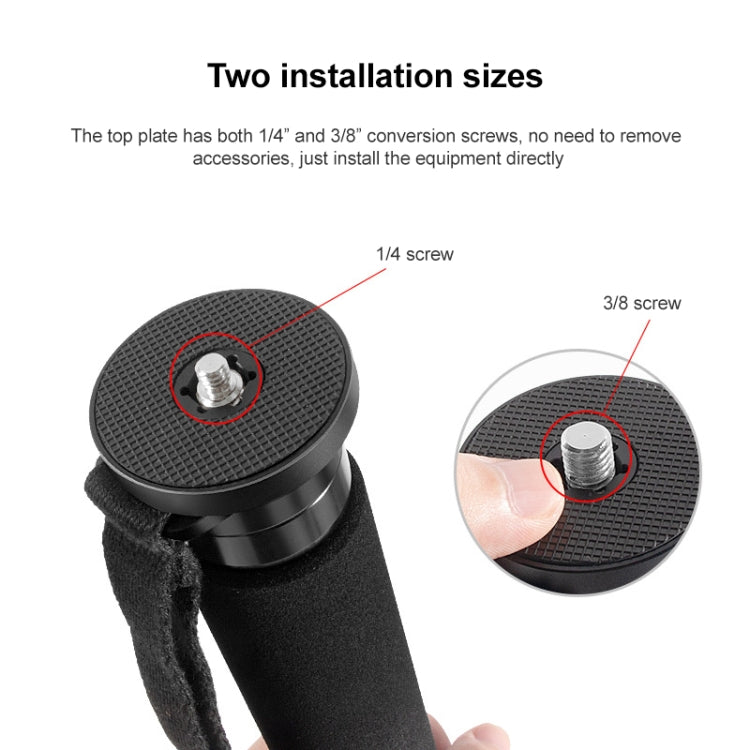 BEXIN P366C Camera Carbon Fiber Monopod Travel Live Selfie Bracket Holder - Monopods by BEXIN | Online Shopping South Africa | PMC TechLife | Buy Now Pay Later Mobicred
