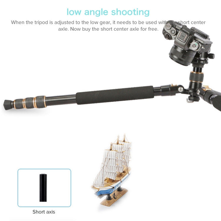 TRIOPO 652 Horizontal Arm Tripod Mount Quick Release Center Column Boom Bracket with Tripod Ball-Head - free shipping - PMC TechLife - Order now!