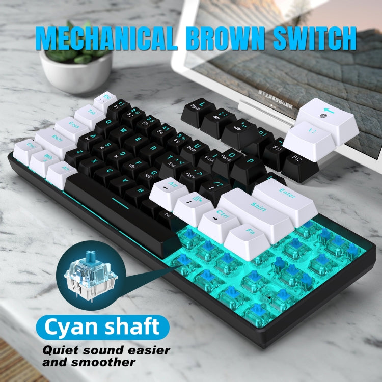 HXSJ V900 61 Keys Cool Lighting Effect Mechanical Wired Keyboard (Black White) - Wired Keyboard by HXSJ | Online Shopping South Africa | PMC Jewellery | Buy Now Pay Later Mobicred