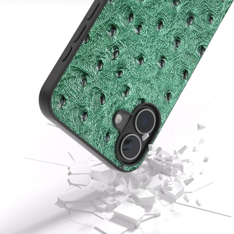 For iPhone 16 Plus ABEEL Genuine Leather Ostrich Texture Phone Case(Green) - iPhone 16 Plus Cases by PMC Jewellery | Online Shopping South Africa | PMC Jewellery | Buy Now Pay Later Mobicred