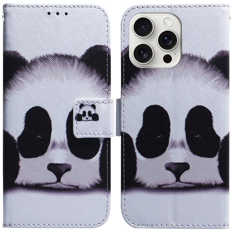 For iPhone 16 Pro Coloured Drawing Flip Leather Phone Case(Panda) - iPhone 16 Pro Cases by PMC TechLife | Online Shopping South Africa | PMC TechLife | Buy Now Pay Later Mobicred