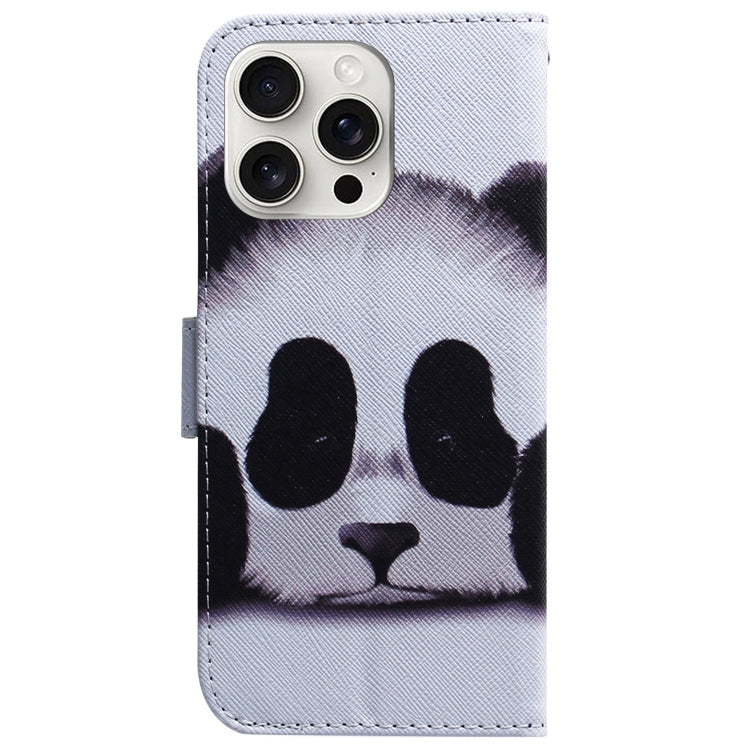 For iPhone 16 Pro Coloured Drawing Flip Leather Phone Case(Panda) - iPhone 16 Pro Cases by PMC TechLife | Online Shopping South Africa | PMC TechLife | Buy Now Pay Later Mobicred