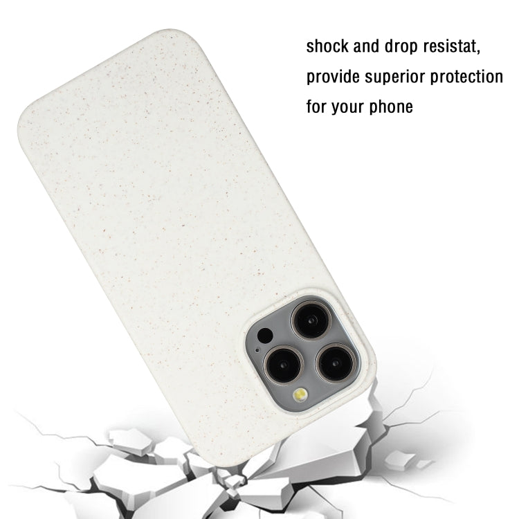 For iPhone 13 Pro Wheat MagSafe Magnetic Straw Material + TPU Phone Case(White) - iPhone 13 Pro Cases by PMC TechLife | Online Shopping South Africa | PMC TechLife