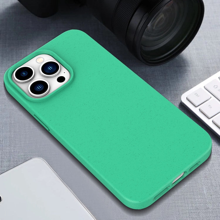 For iPhone 16 Pro Max Wheat Straw TPU Phone Case(Green) - iPhone 16 Pro Max Cases by PMC TechLife | Online Shopping South Africa | PMC TechLife | Buy Now Pay Later Mobicred