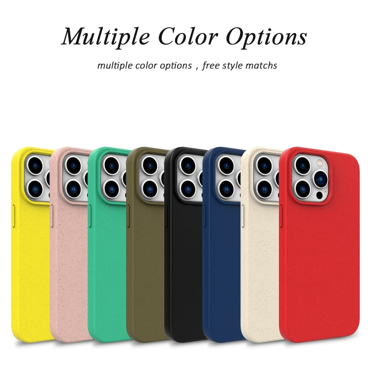 For iPhone 16 Wheat Straw TPU Phone Case(Green) - iPhone 16 Cases by PMC TechLife | Online Shopping South Africa | PMC TechLife | Buy Now Pay Later Mobicred