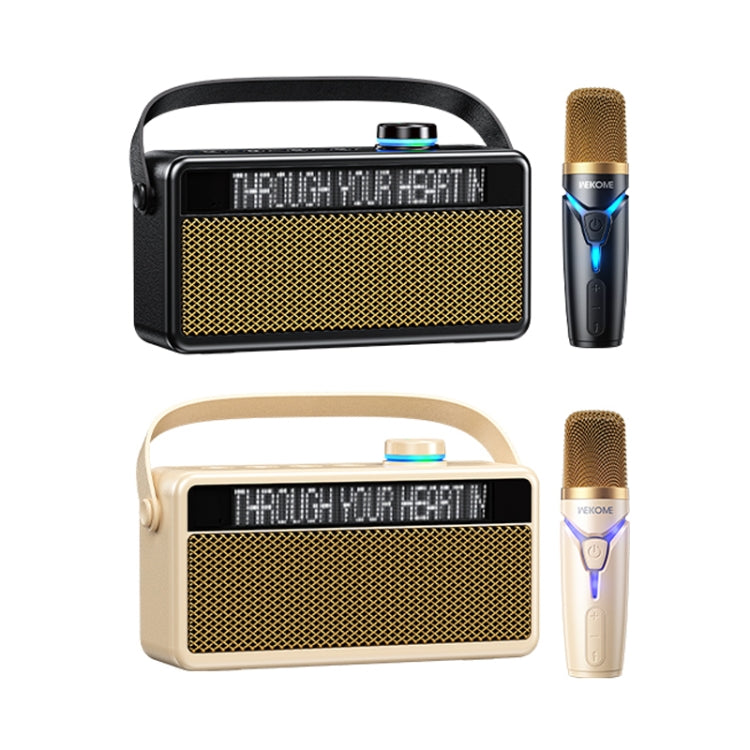 WK Beluga D17 Lyrics Bluetooth Speaker(Black) - free shipping - PMC Jewellery - Order now!