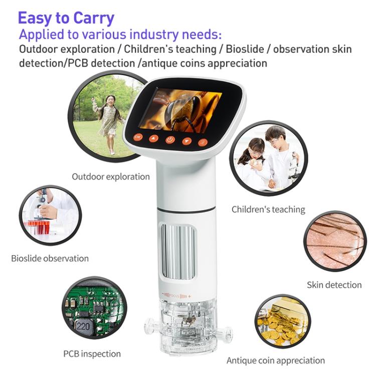 EDA007958701A_2.jpg@403e7e781c68973312d02ddc4df43a63