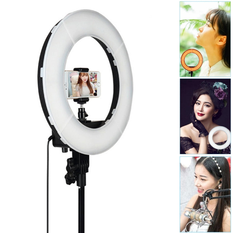 12 Inch Anchor Photography Self-timer LED Ring Fill-in Light - free shipping - PMC TechLife - Order now!
