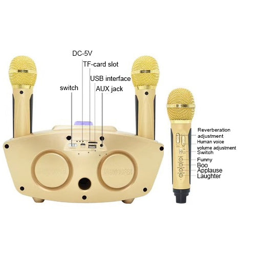 SD-306 2 in 1 Family KTV Portable Wireless Live Dual Microphone + Bluetooth Speaker(Black) - Microphone by PMC TechLife | Online Shopping South Africa | PMC TechLife | Buy Now Pay Later Mobicred