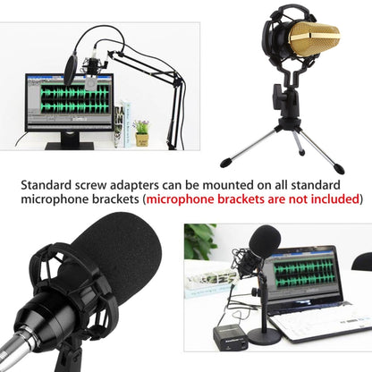 BM-700 USB Professional Condenser Microphone - Microphone by PMC Jewellery | Online Shopping South Africa | PMC Jewellery | Buy Now Pay Later Mobicred