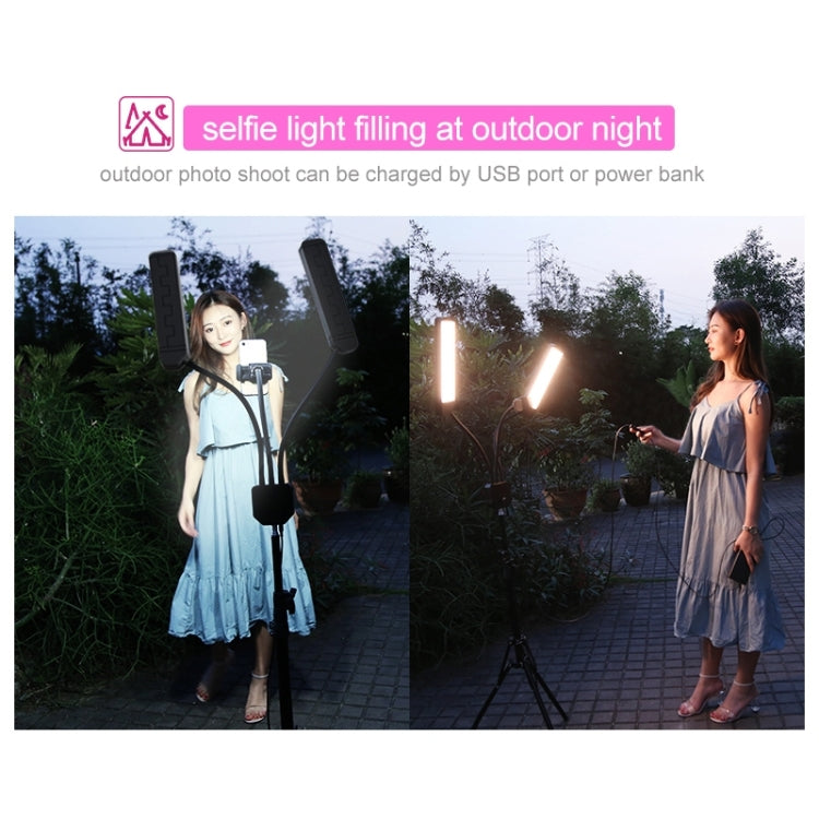 RK39 Portable Tri-color Adjustable Brightness Double Arms Fill Light with Phone Clip(Black) - Selfie Light by PMC Jewellery | Online Shopping South Africa | PMC Jewellery | Buy Now Pay Later Mobicred