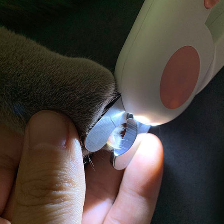 Pet Cat and Dog LED Light Nail Clippers (Blue) - Fingernail Trimmers by PMc TechLife | Online Shopping South Africa | PMc TechLife | Buy Now Pay Later Mobicred