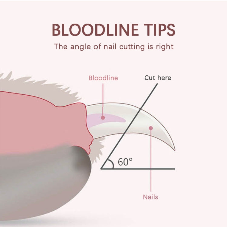 Pet Cat and Dog LED Light Nail Clippers (Blue) - Fingernail Trimmers by PMc TechLife | Online Shopping South Africa | PMc TechLife | Buy Now Pay Later Mobicred