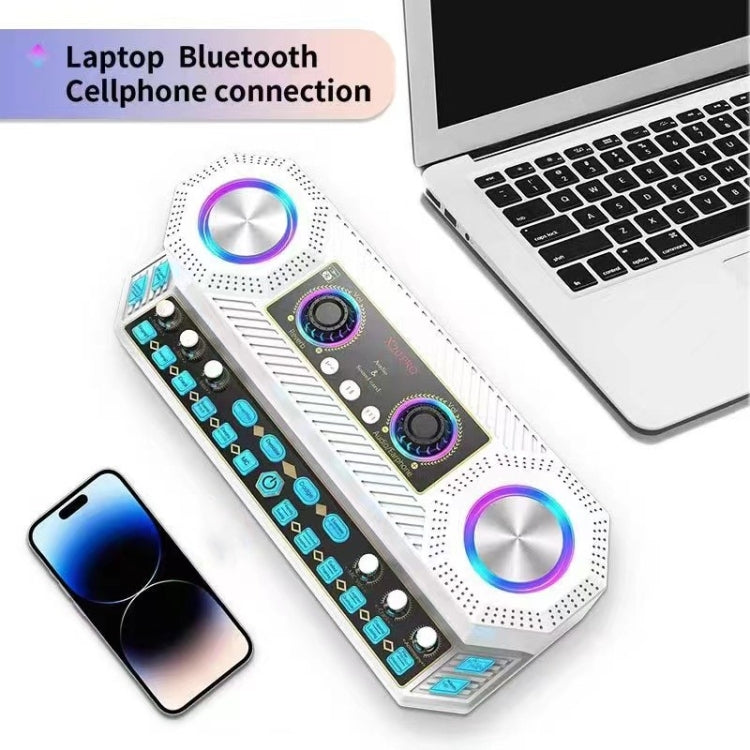 X20 Multifunction Singing Sound Card Audio Machine Square Dance Karaoke Wireless Bluetooth Speaker - Live Sound Effects Processors by PMC TechLife | Online Shopping South Africa | PMC TechLife | Buy Now Pay Later Mobicred