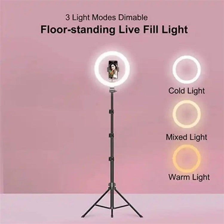 JMARY FM-536A 10 inch Ring Live Fill Light Streaming Stand Beauty Light Set - Ring Light by Jmary | Online Shopping South Africa | PMC Jewellery | Buy Now Pay Later Mobicred