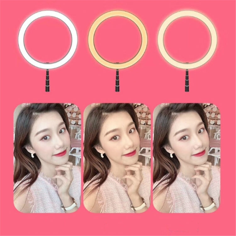 Portable Collapsible Studio-Level Professional Fill Light Mobile Phone Bracket LED Ring Light(Black) - Selfie Light by PMC Jewellery | Online Shopping South Africa | PMC Jewellery | Buy Now Pay Later Mobicred