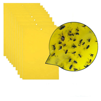 Double-sided Stick Insect Board Yellow Board Melon Fruit Fly Trap Board - Traps by PMC Jewellery | Online Shopping South Africa | PMC Jewellery