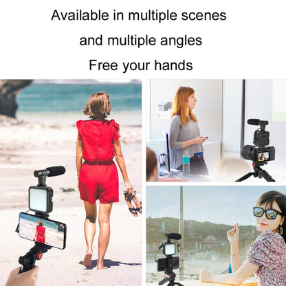 KIT-01LM 3 in 1 Video Shooting LED Light Portable Tripod Live Microphone, Specification:Battery Models - Selfie Sticks by PMC Jewellery | Online Shopping South Africa | PMC Jewellery | Buy Now Pay Later Mobicred