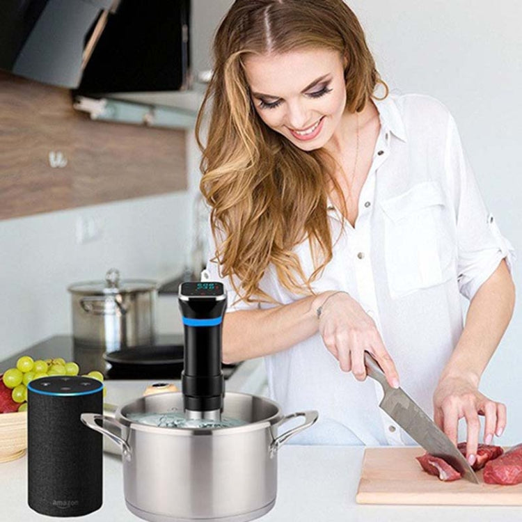 Low Temperature Slow Cooker Thawed Vacuum Steak Machine, Plug Type:UK Plug - Gadgets by PMC TechLife | Online Shopping South Africa | PMC TechLife