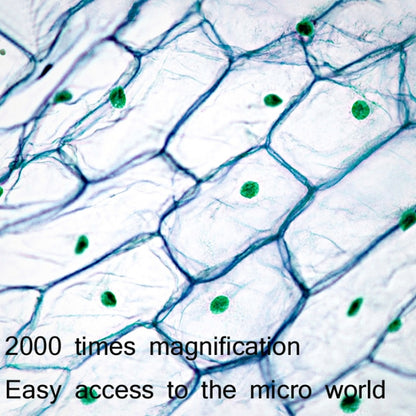 2000X WIFI High Magnification Biological Microscope USB HD Digital Magnifying Glass - Digital Microscope by PMC Jewellery | Online Shopping South Africa | PMC Jewellery | Buy Now Pay Later Mobicred