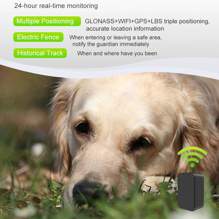 CJ230 Pet Locator Micro Mini GPS Locator - free shipping - PMC TechLife - Order now!