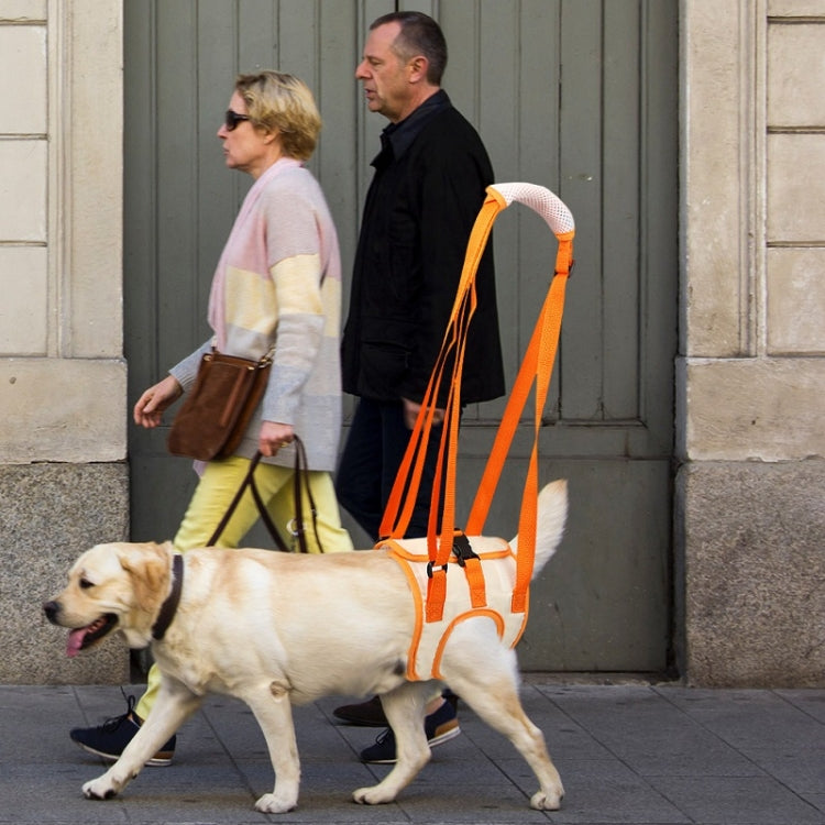 Pet Leash Assistive Belt For Postoperative Disabled Elderly Dogs Front Legs S - Leashes & Chest Strap by PMC TechLife | Online Shopping South Africa | PMC TechLife | Buy Now Pay Later Mobicred