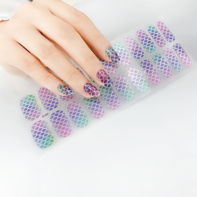 22 Fingers Shiny Onion Powder Starry Waterproof Nail Sticker(ZX-3031) - Nail Stickers by PMC Jewellery | Online Shopping South Africa | PMC Jewellery | Buy Now Pay Later Mobicred