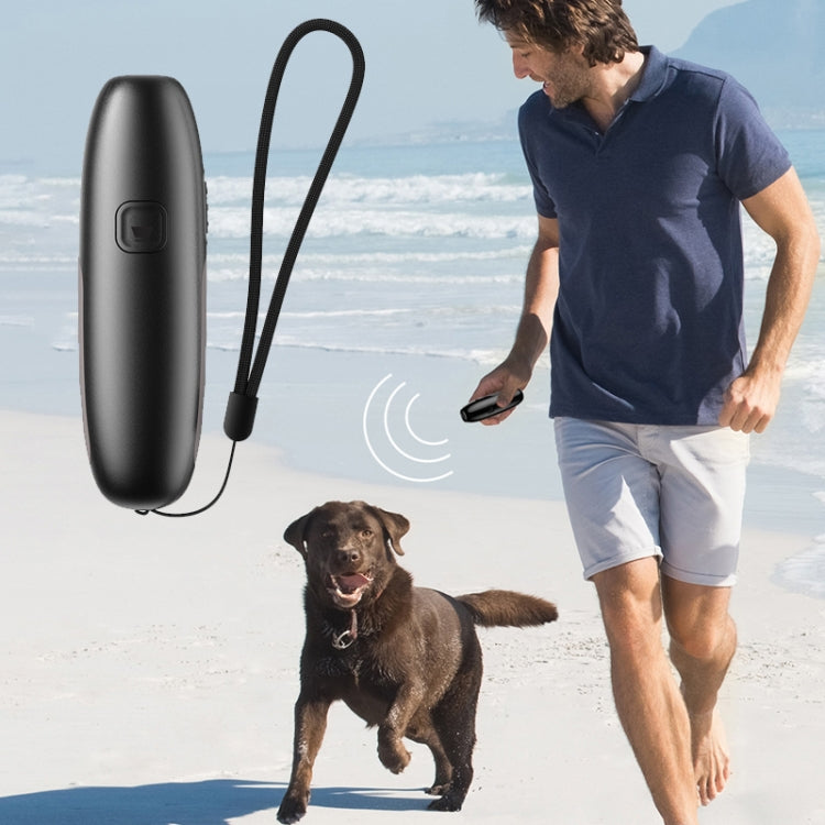 UB100 Ultrasonic Trainer Barking Device Handheld Portable Driving Artifact(Silver) - Training Aids by PMC TechLife | Online Shopping South Africa | PMC TechLife | Buy Now Pay Later Mobicred