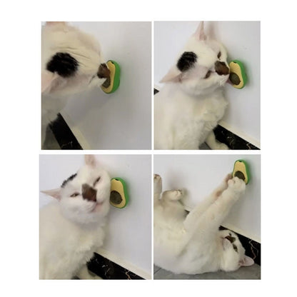 2 PCS Catnip Balls And Avocado Teasing Cat Teeth Cleaning Toy(Gall Fruit) - Toys by PMC Jewellery | Online Shopping South Africa | PMC Jewellery