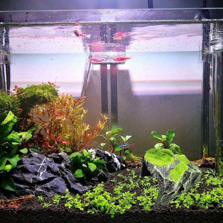 FGT48 Flocked Caple Box Turtle Hiding Nest Moss Cave Turtle Cave Sunbed - Reptile Supplies by PMC TechLife | Online Shopping South Africa | PMC TechLife | Buy Now Pay Later Mobicred
