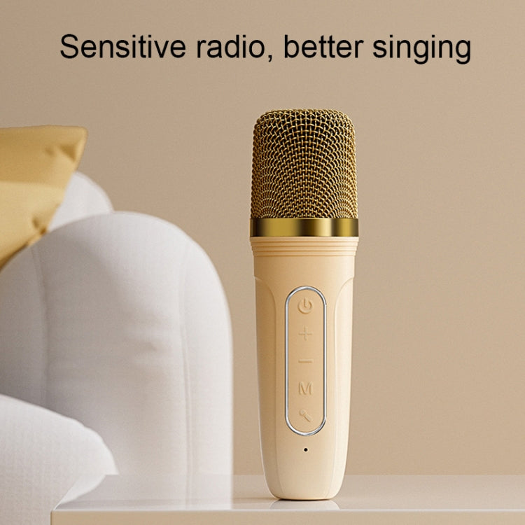 Havit P1 Portable Singing Home Wireless Bluetooth Speaker Microphone Set, Style: Single-microphone - Microphone by Havit | Online Shopping South Africa | PMC Jewellery | Buy Now Pay Later Mobicred