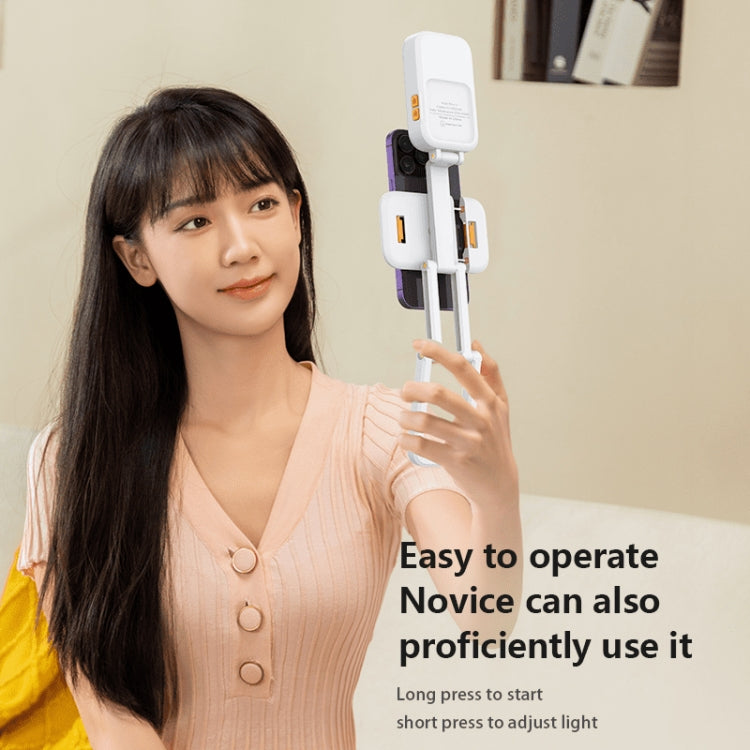 D2 Pro Mini RGB Fill Light Pocket Light with Mobile Phone Holder(White) - Selfie Light by PMC TechLife | Online Shopping South Africa | PMC TechLife | Buy Now Pay Later Mobicred