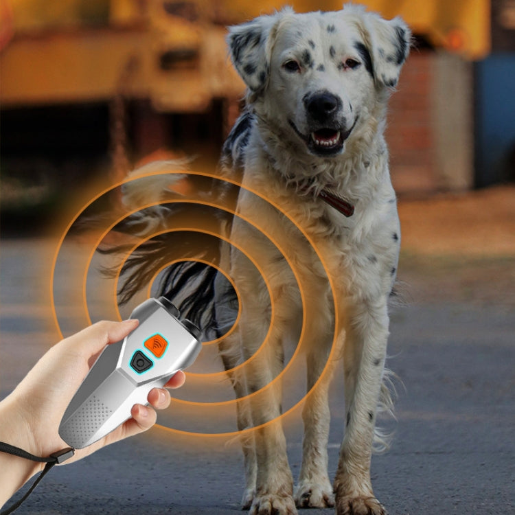 Ultrasonic Dog Repeller Stop Barker Dual Probe High Power Repeller Handheld Dog Trainer(Black) - Training Aids by PMC Jewellery | Online Shopping South Africa | PMC Jewellery | Buy Now Pay Later Mobicred