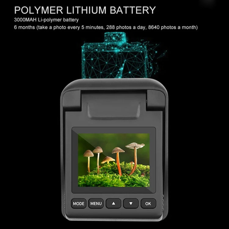 4K Time-Lapse Camera Microlight Full Color Night Vision Security Recording Construction Site Time-Lapse Camera(Black) - Video Cameras by PMC TechLife | Online Shopping South Africa | PMC TechLife | Buy Now Pay Later Mobicred