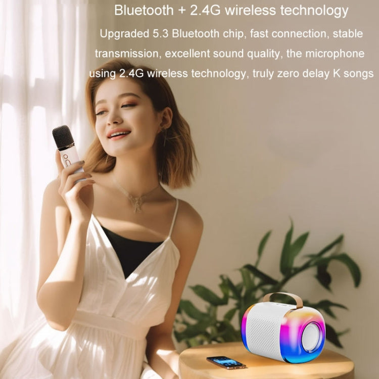 Y5 1 Microphone Portable Bluetooth Speaker Home And Outdoor Wireless Karaoke Audio(Pink) - Microphone by PMC TechLife | Online Shopping South Africa | PMC TechLife | Buy Now Pay Later Mobicred