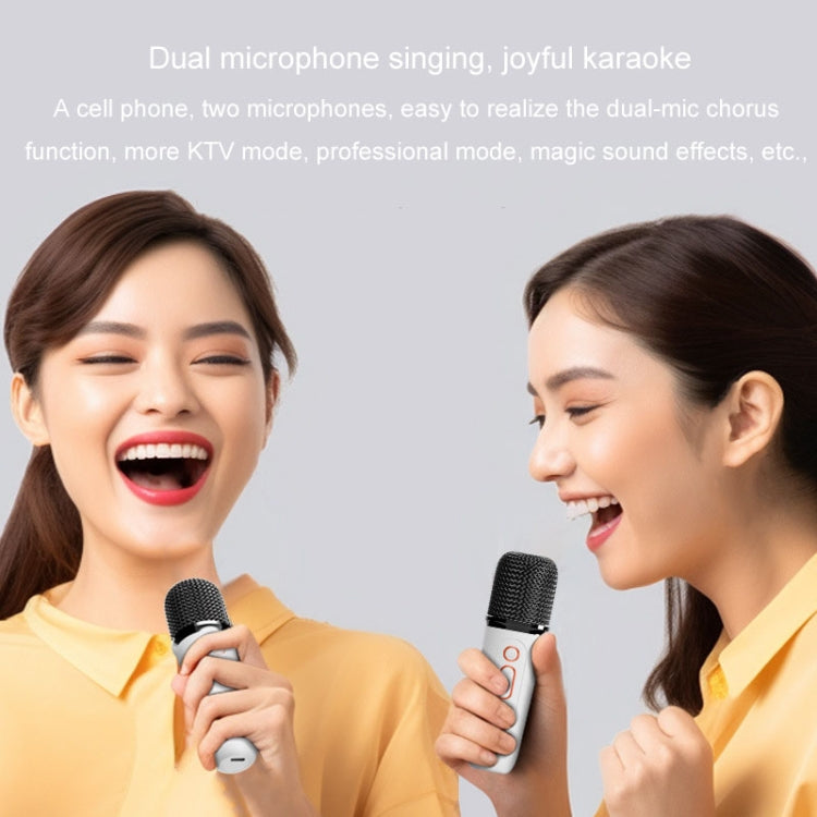 Y5 1 Microphone Portable Bluetooth Speaker Home And Outdoor Wireless Karaoke Audio(Black) - Microphone by PMC Jewellery | Online Shopping South Africa | PMC Jewellery | Buy Now Pay Later Mobicred