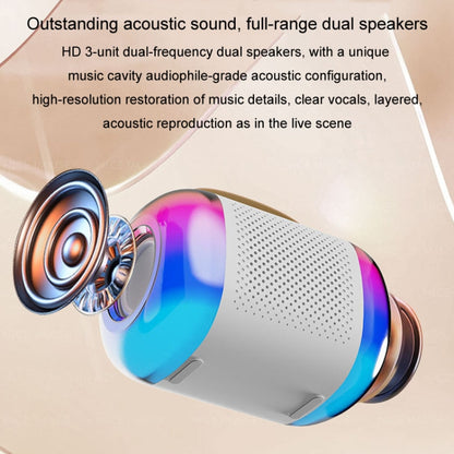 Y5 1 Microphone Portable Bluetooth Speaker Home And Outdoor Wireless Karaoke Audio(Black) - Microphone by PMC Jewellery | Online Shopping South Africa | PMC Jewellery | Buy Now Pay Later Mobicred