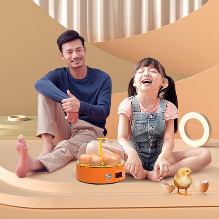 6-Eggs Small Household Experimental Children Smart Chicken Incubators, Spec: Manual AU Plug - Incubators by PMC TechLife | Online Shopping South Africa | PMC TechLife
