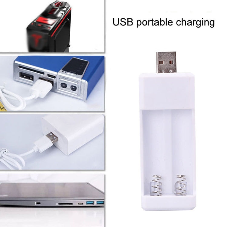 Directly Inserted 2 Slots USB AA / AAA Rechargeable Battery Charger - free shipping - PMC TechLife - Order now!