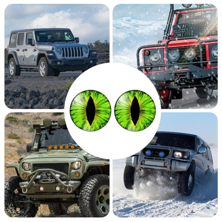 1pair Beast Eyes Headlight Decorative Stickers Off-Road Vehicle Front Lights Stereo Decals, Style: 31 - Lamp Decoration by PMC TechLife | Online Shopping South Africa | PMC TechLife | Buy Now Pay Later Mobicred