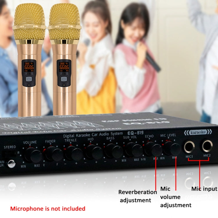 EQ-819 Car Audio Equalizer EQ Tuning Crossover Amplifier Supports Dual Microphone Input Reverberation Adjustment - Car Amplifiers by PMC Jewellery | Online Shopping South Africa | PMC Jewellery | Buy Now Pay Later Mobicred