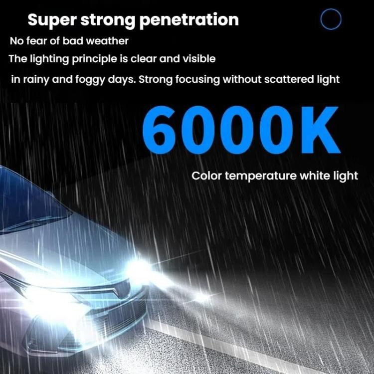 TBD06059967_B2.jpg@135167919ec1556a7484dae4ace128f4