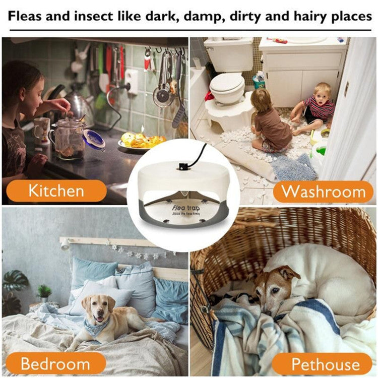 Flea Trap Pet Home Flea Lamp, Plug Type:AU Plug - Traps by PMC TechLife | Online Shopping South Africa | PMC TechLife | Buy Now Pay Later Mobicred