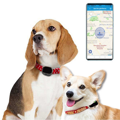 RF-V43 A Style IP67 Waterproof GPS + LBS + WiFi Pet Locator Pet Collar Tracking Device For Asia/Europe/Africa/Australia(Black) - Pet Tracker by PMC Jewellery | Online Shopping South Africa | PMC Jewellery