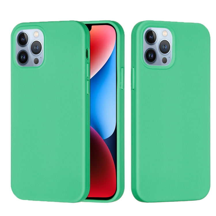 For iPhone 15 Pro Max Solid Color Silicone Phone Case(Green) - iPhone 15 Pro Max Cases by PMC TechLife | Online Shopping South Africa | PMC TechLife