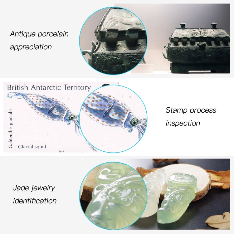 F210 1000X WiFi Digital Microscope with Helical Tube Bracket - Digital Microscope by PMC TechLife | Online Shopping South Africa | PMC TechLife | Buy Now Pay Later Mobicred