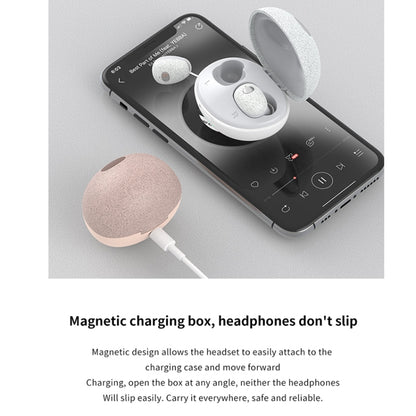 Calante T2S 5D Sound Effect Bluetooth 5.0 Wireless Bluetooth Earphone with Magnetic Charging Box, Support Call & Siri(Black) - Bluetooth Earphone by Galante | Online Shopping South Africa | PMC Jewellery | Buy Now Pay Later Mobicred